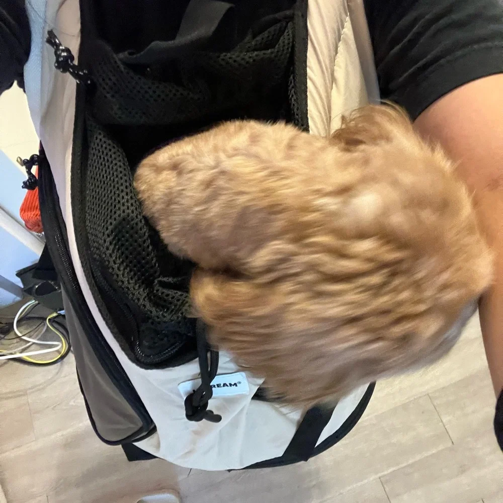 Dog Carriers for Small Dogs,Dog Backpack with 2 Pocket for Travel,